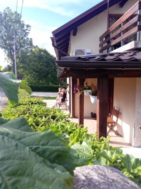 Guesthouse Marton Jezerce Eksteriør billede